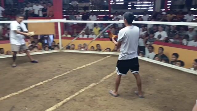 Video from JOROS gamefarm's post