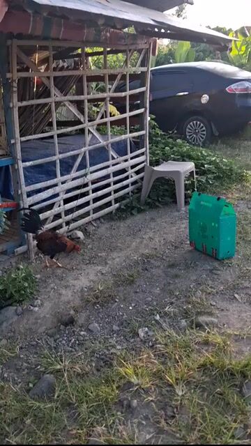 Video from Sonje Meking's post