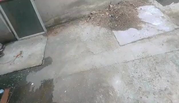 Video from RLV 96 Gamefowl's post