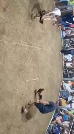 Video from LBR's post