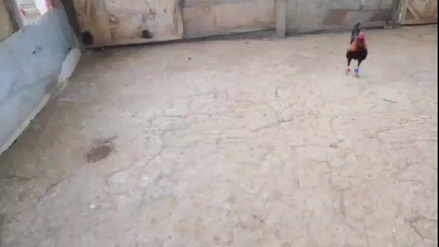 Video from Albin Mendoza's post