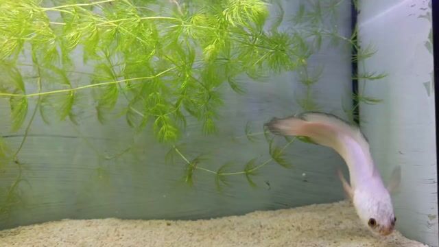 Video from Emman Refugio's post