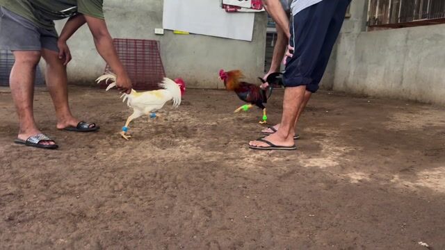Video from sirquitz Farm's post