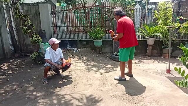 Video from Chechie Ravanes's post