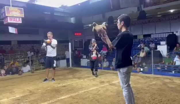 Video from VikingzHeart GF's post