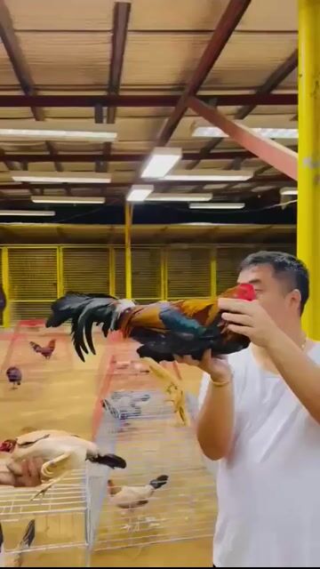 Video from Edmer Navales's post