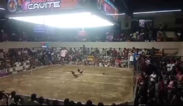 Video from Don F Farm's post