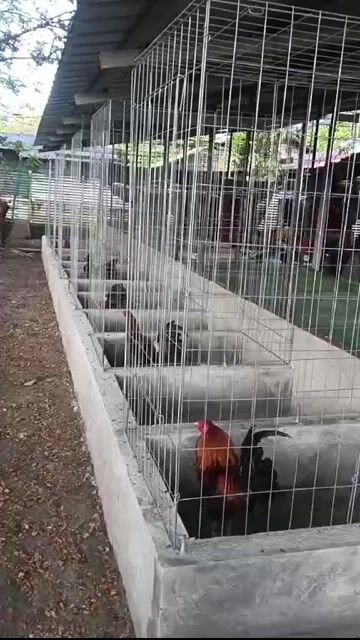 Video from Paulino Ibarra Lozano's post