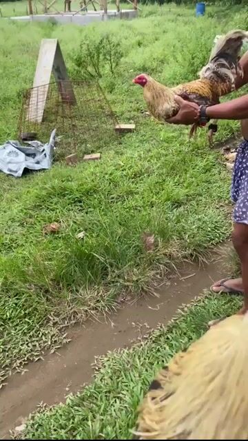 Video from QuEdDaMe Gf's post