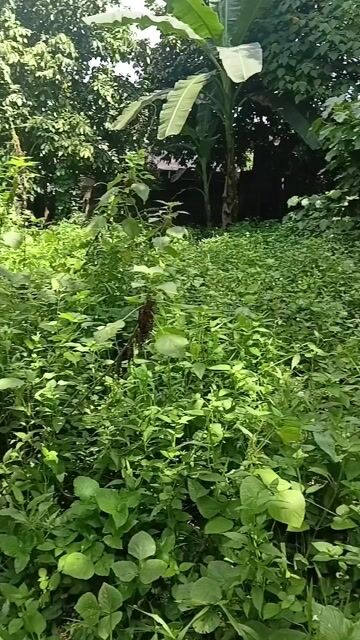 Video from Patrick Baoy's post