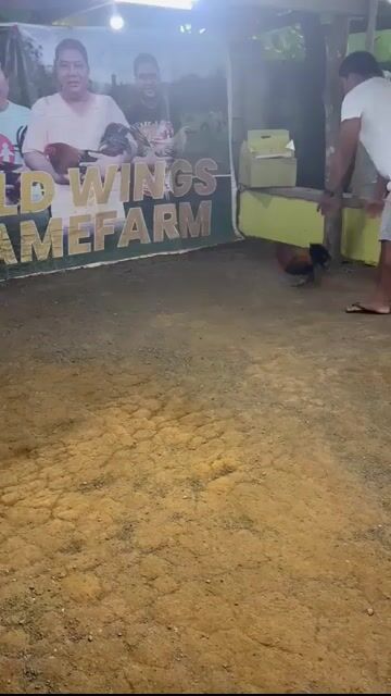 Video from Paolo Abundo's post
