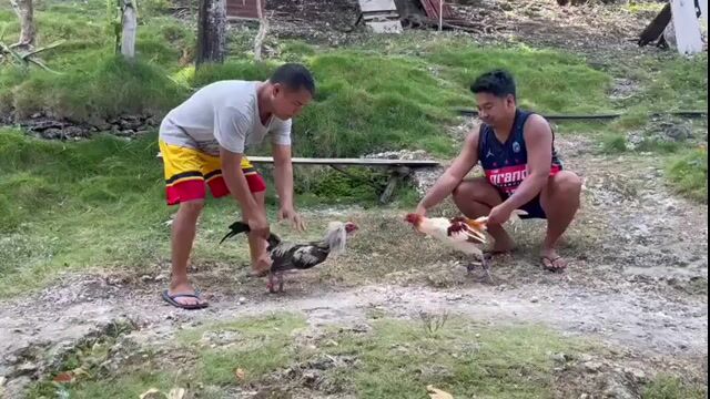Video from Jemuel Son's post