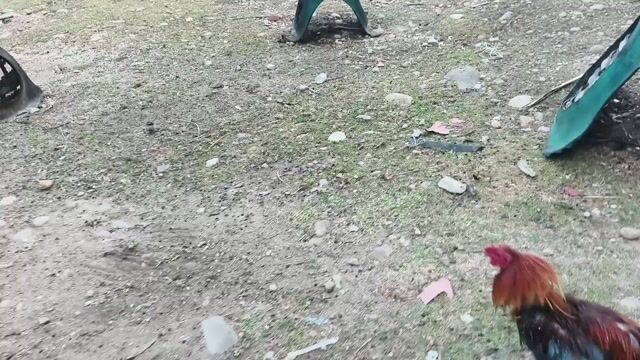 Video from Sherbien Villegas's post