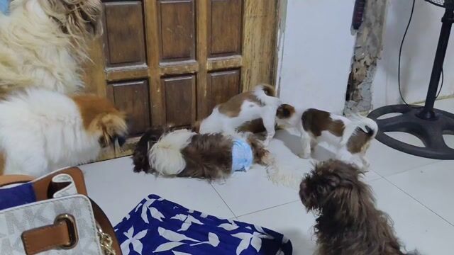 Video from Reciel R. San Luis's post