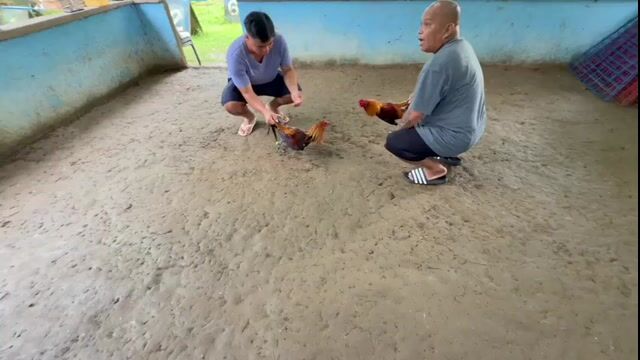 Video from Daile Marcos's post