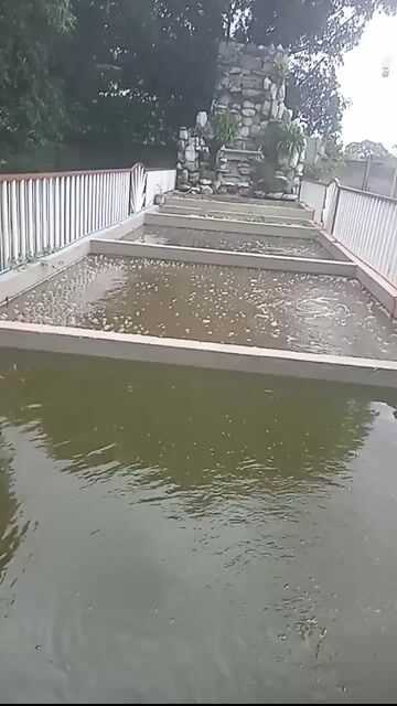 Video from Dennis C. Bondoc's post