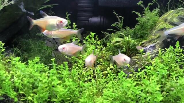 Video from JENNEL DRIX's post