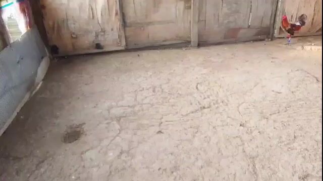 Video from Albin Mendoza's post