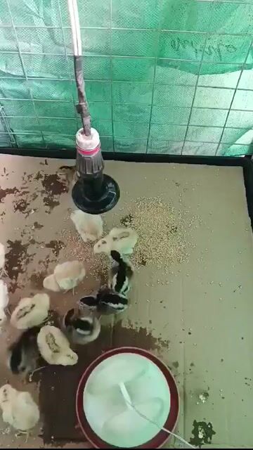 Video from GodSpeed Macalalad's post