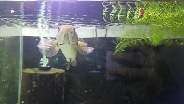 Video from Emman Refugio's post