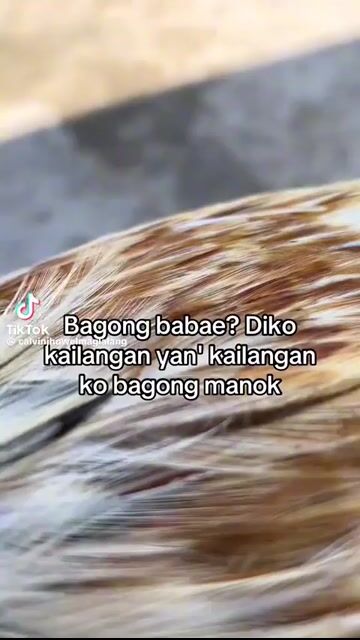 Video from Axcell Diaz's post