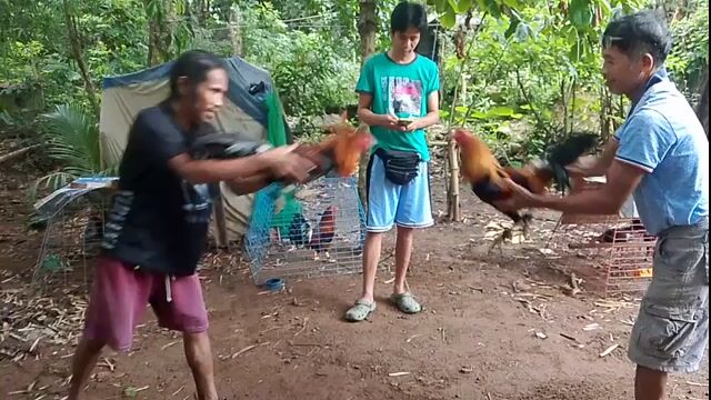 Video from Don RDM's post