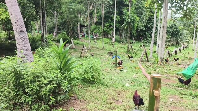 Video from Karl Bustillo's post