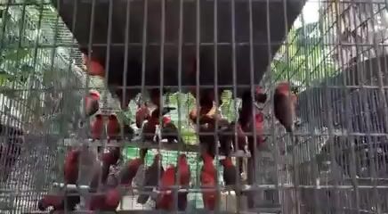 Video from marie's post