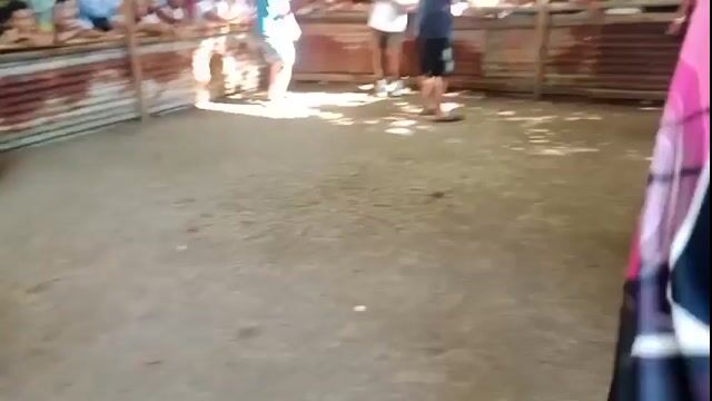 Video from AntigaReynold's post
