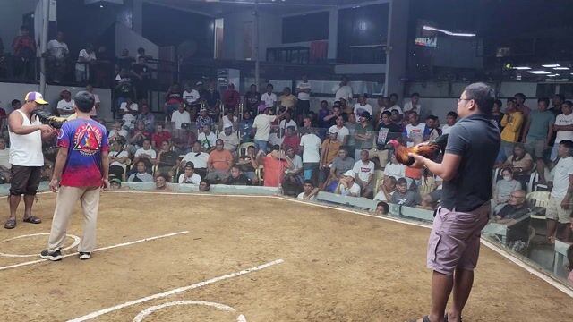 Video from Alcordo Bros's post