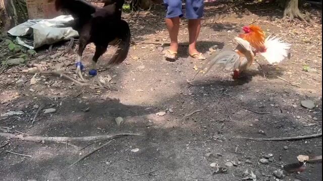 Video from Zar June Biador's post