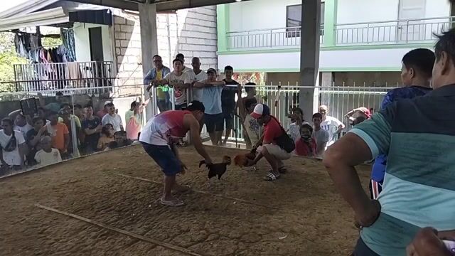 Video from Mark Balundo's post