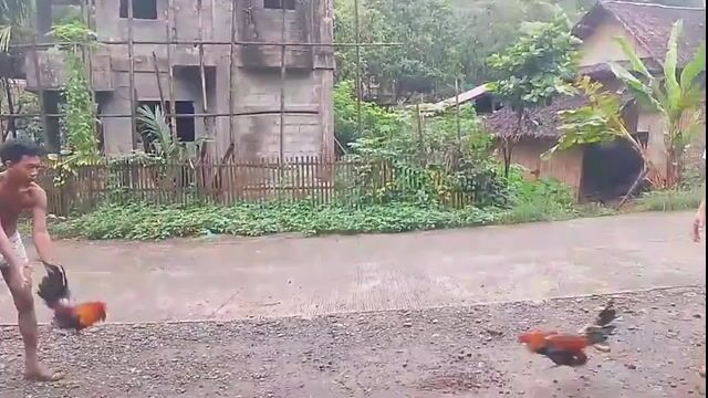 Video from SB.Jco Backyard's post