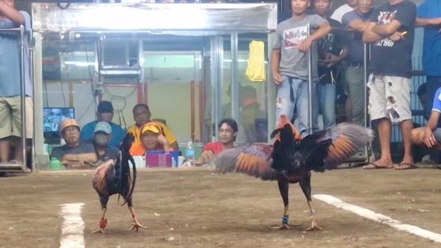 Video from Kenn Mar Estares's post