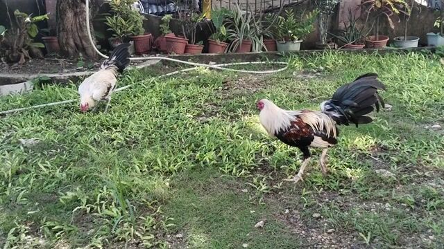 Video from JMI Kanaway's post