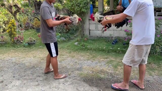 Video from jep bc's post