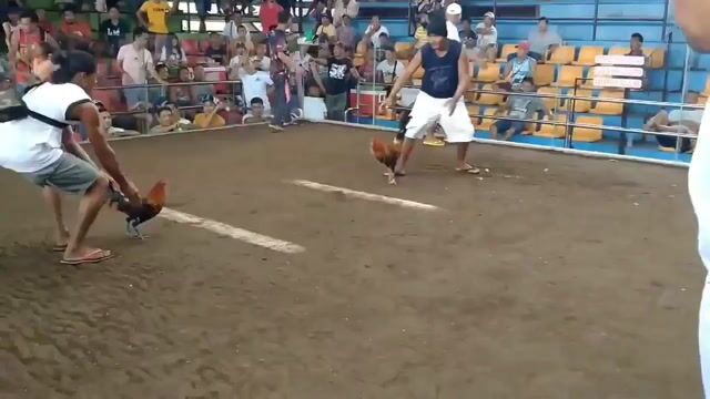 Video from Bryan Kim Sabareza's post