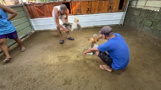 Video from Stellar Gamefarm's post