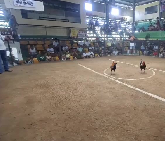 Video from RMC BACKYARD's post