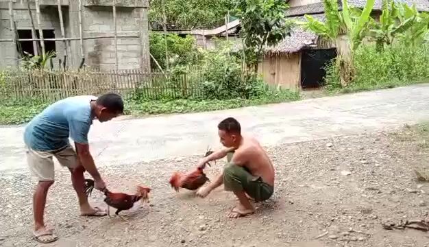 Video from SB.Jco Backyard's post