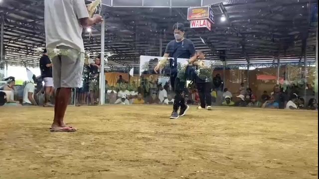 Video from Stellar Gamefarm's post