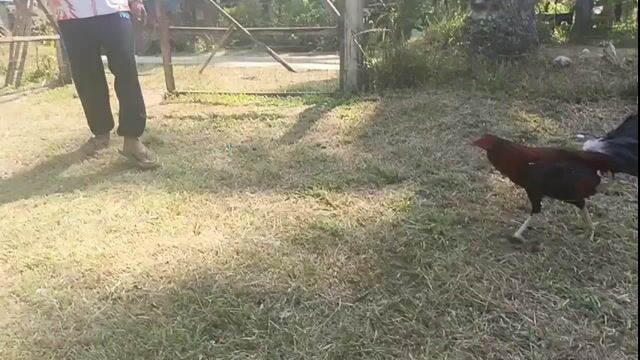 Video from JJP GF's post