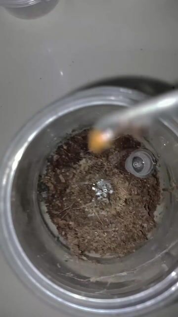 Video from J's petz's post