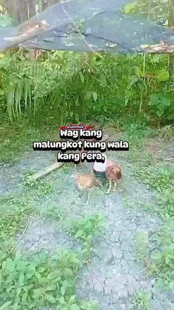 Video from Jason P. Cahimtong's post