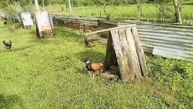 Video from Jowen M. Ramos's post