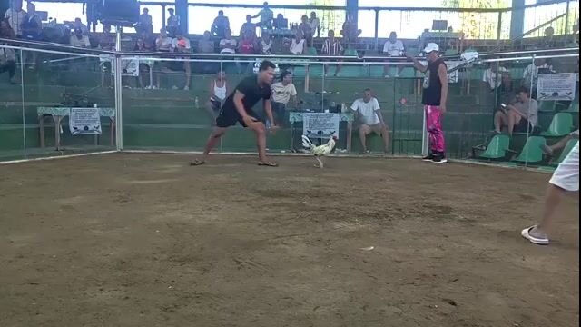 Video from Marlon Noel's post