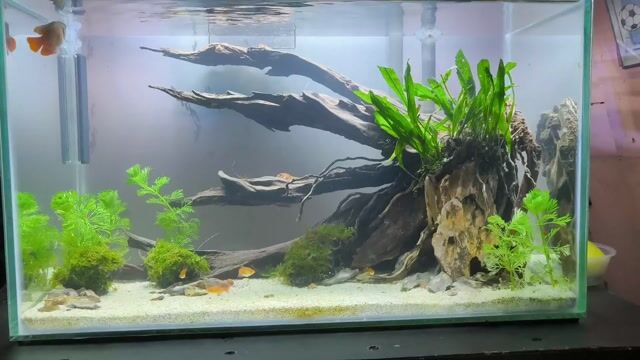 Video from Rick John Caspe's post