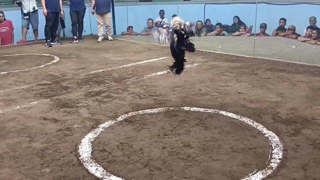 Video from Rigor mojica's post