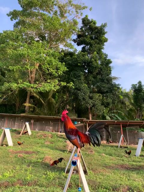 Video from Lyn Labedon's post