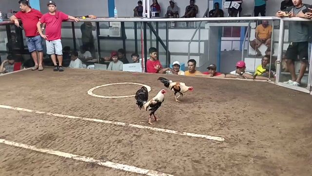 Video from Rigor mojica's post